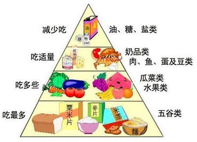 作為“完美金字塔食物”,它給我們帶來了太多美好的成長與回憶