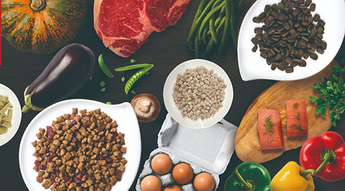 給寵物以更持久更專業的愛護 哈斯曼寵物食品公司專研寵物食品