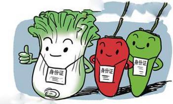 學(xué)費10萬吃霉番茄 孩子舌尖上的安全如何守護?