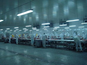 臨沂凱佳食品廠怎么樣工資可以嗎