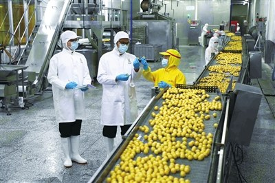 中國預制菜產業全面起航