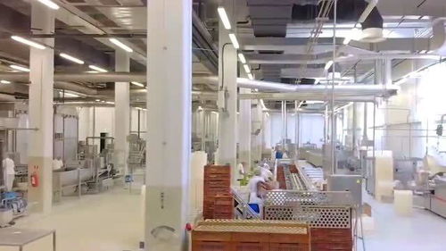 參觀德國食品廠加工過程真的很高端,佩服了