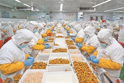 全區各地科學有序推動企業達產滿產 開足馬力忙生產