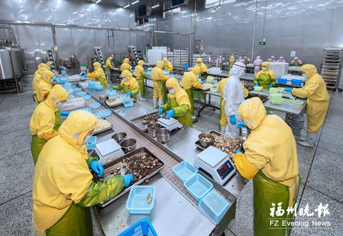 攜手共建新絲路 兩國雙廠 成新模板