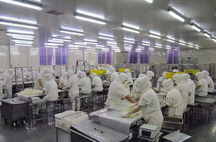 食品廠空氣環境無菌凈化方案及消毒滅菌技術應用