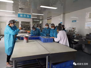 近日,隴南生活網團隊觀摩成縣優點食品廠