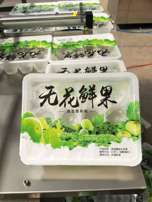 盒裝快餐料理包真空包裝封口機 醬菜封盒封碗包裝機