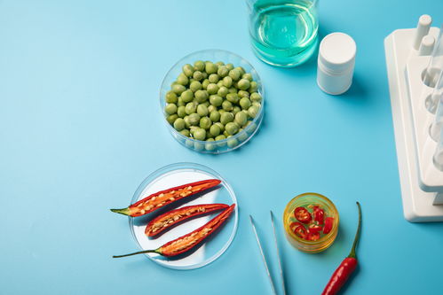 辣椒豌豆食品安全農業(yè)科技食品培育攝影圖 插畫 下載至來源處