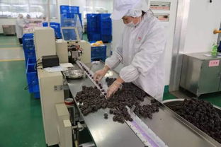 松江這家年銷售額超過50億元的食品工廠,你知道嗎