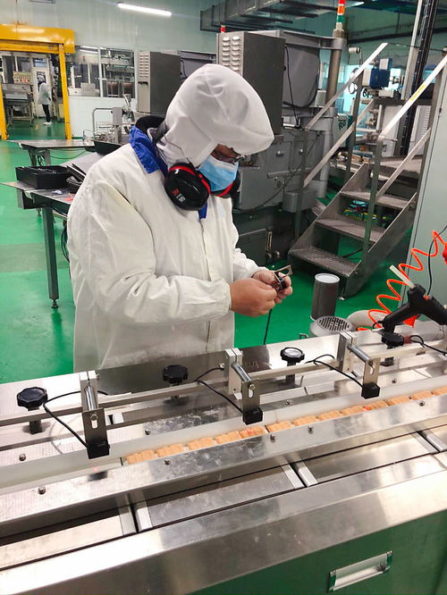 客戶案例 廣東東莞巧克力食品生產工廠 oee tpm