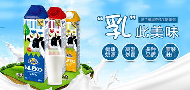 食品產(chǎn)品頁(yè)面海報(bào)