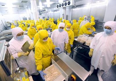 河南對出口禽肉生產進行全過程質量監督