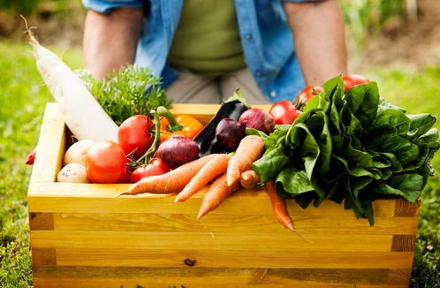 快開學了,不飽和脂肪酸拯救孩子的 假期胃