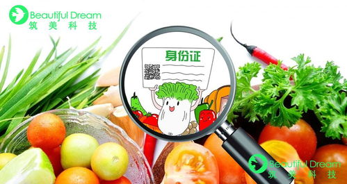 什么是智慧農貿放心市場溯源系統 農貿市場又該如何建立安全的食品追溯體系