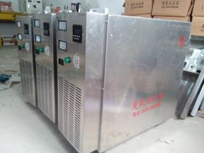 邯鄲食品廠臭氧發(fā)生器移動式臭氧發(fā)生器