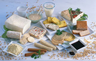 冬季吃什么防寒保暖 多選高蛋白食品 新浪安徽美食