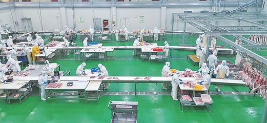 慶陽:草畜盛 產(chǎn)業(yè)旺