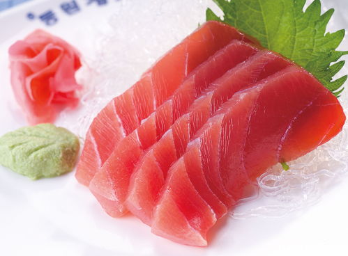 鮮推薦 海中貴族