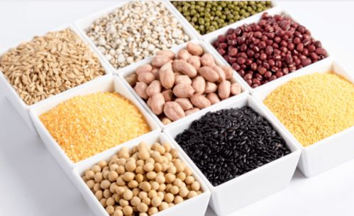 后廚不同食材如何存儲