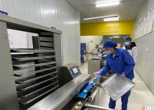 臨潼小金村煥發致富新活力