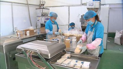 河北:提高產地初加工率 農產品質優價更優