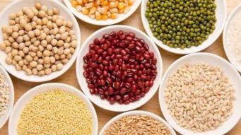 豆類食品中含有淀粉嗎