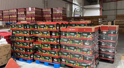 天津食品集團前線指揮部進駐津南 精準保障百姓生活物資