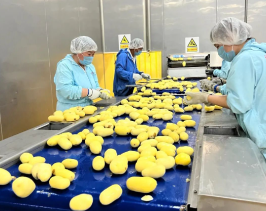 福滿興食品廠正式投產(chǎn)，助力食品行業(yè)新發(fā)展